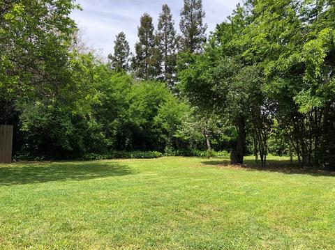 8971 Calvert Ave, Orangevale, CA 95662 photo 5