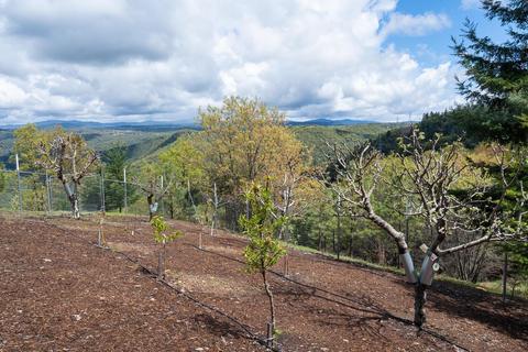 3580 Parleys Canyon Rd, Placerville, CA 95667 photo 32