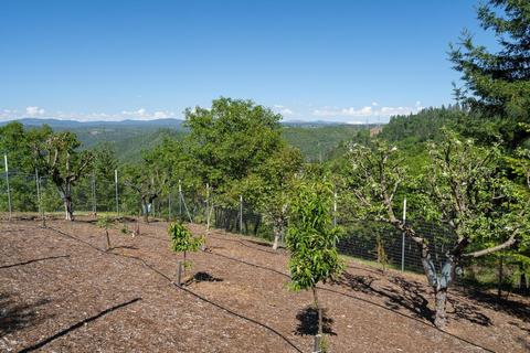 3580 Parleys Canyon Rd, Placerville, CA 95667 photo 35