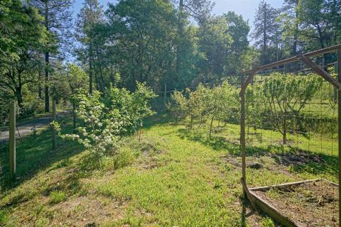 1200 Sun Ridge Rd, Placerville, CA 95667 photo 24