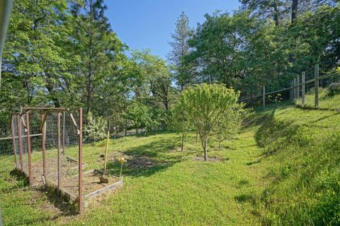 1200 Sun Ridge Rd, Placerville, CA 95667 photo 23