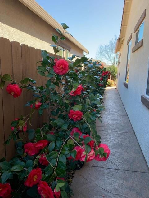 2120 Devonport Loop, Roseville, CA 95747 photo 22