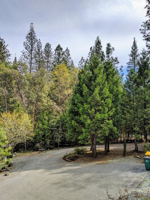 7401 Prospect Hill Dr, Georgetown, CA 95634 photo 26