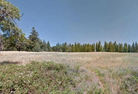 19625 Hale Rd, Volcano, CA 95689 photo 2