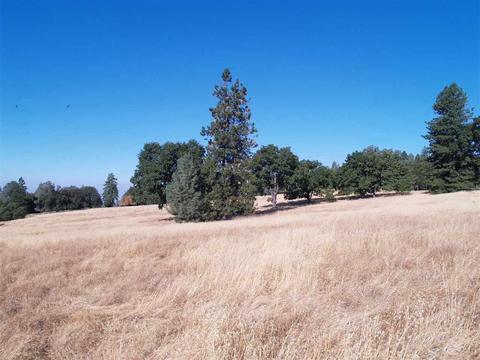 19625 Hale Rd, Volcano, CA 95689 photo 4