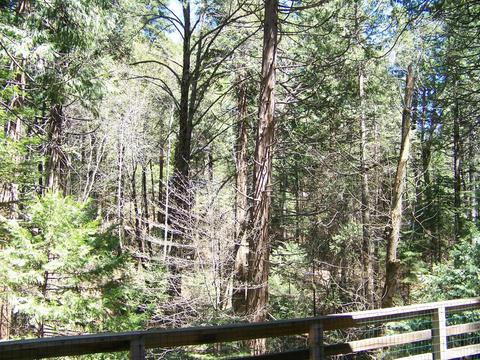 24329 Kewin Mill Rd, Sonora, CA 95370 photo 29