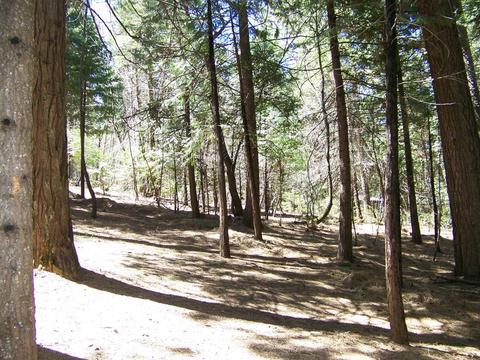 24329 Kewin Mill Rd, Sonora, CA 95370 photo 23