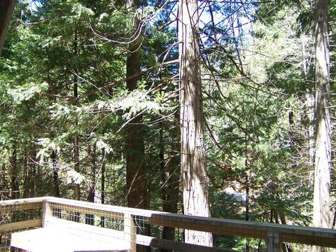 24329 Kewin Mill Rd, Sonora, CA 95370 photo 30