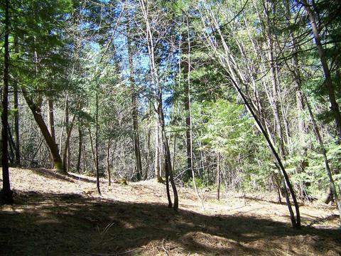 24329 Kewin Mill Rd, Sonora, CA 95370 photo 28