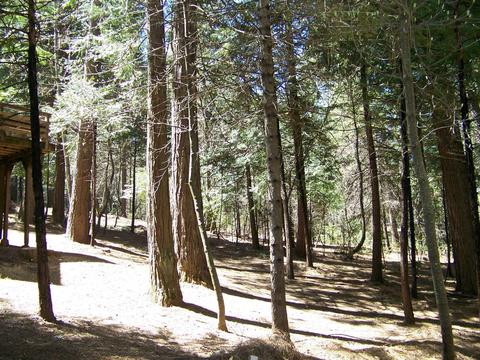 24329 Kewin Mill Rd, Sonora, CA 95370 photo 25
