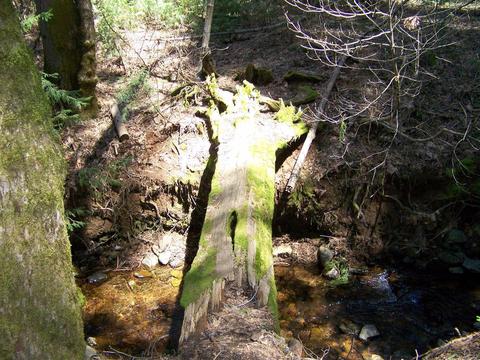 24329 Kewin Mill Rd, Sonora, CA 95370 photo 22