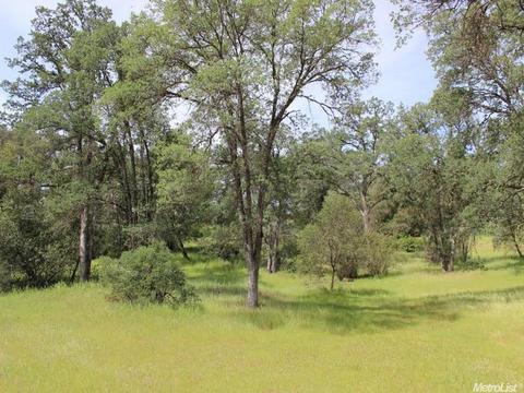 1071 Feather Ct, Copperopolis, CA 95228 photo 5