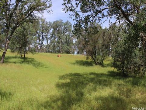 1071 Feather Ct, Copperopolis, CA 95228 photo 3