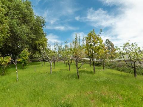 1671 Teal Pond Rd, Placerville, CA 95667 photo 34
