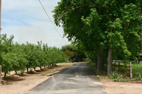 17001 Haskell Ln, Escalon, CA 95320 photo 4