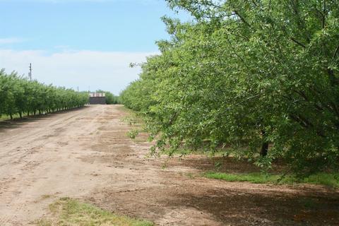 17001 Haskell Ln, Escalon, CA 95320 photo 2