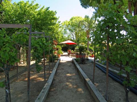 3913 E Tuolumne Rd, Turlock, CA 95382 photo 40