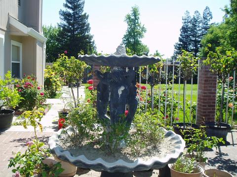 1780 Cape Cod Cir, Lodi, CA 95242 photo 4