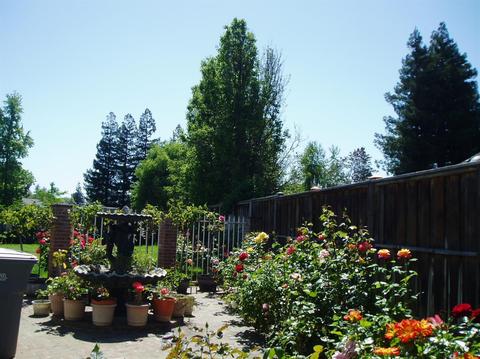 1780 Cape Cod Cir, Lodi, CA 95242 photo 14