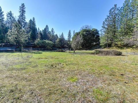 23635 Tree Farm Rd, Colfax, CA 95713 photo 25