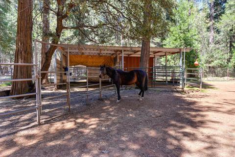 19530 Cherokee Ln, Volcano, CA 95689 photo 38