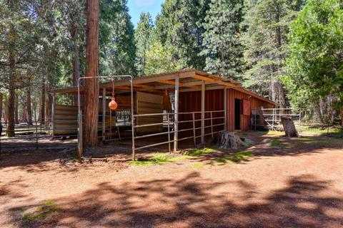 19530 Cherokee Ln, Volcano, CA 95689 photo 39