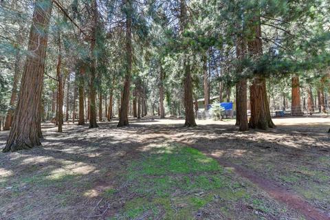 19530 Cherokee Ln, Volcano, CA 95689 photo 41