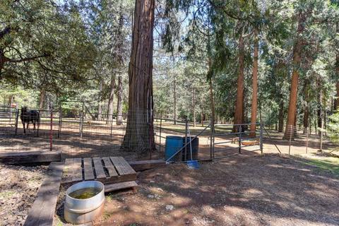 19530 Cherokee Ln, Volcano, CA 95689 photo 37