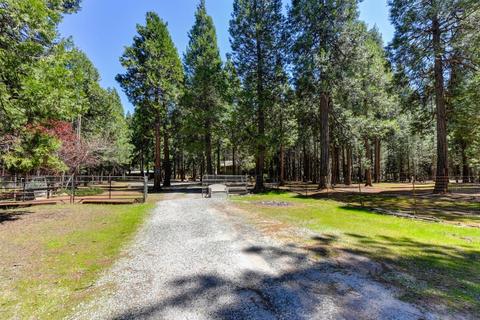 19530 Cherokee Ln, Volcano, CA 95689 photo 2