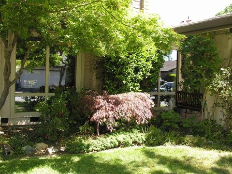 1724 Le Bec Ct, Lodi, CA 95240 photo 5