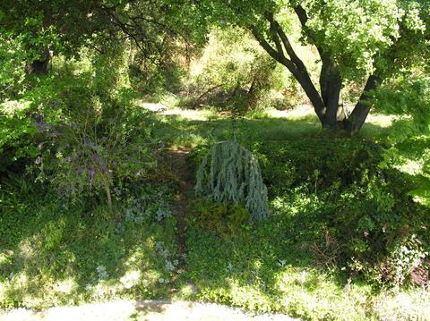 1724 Le Bec Ct, Lodi, CA 95240 photo 24