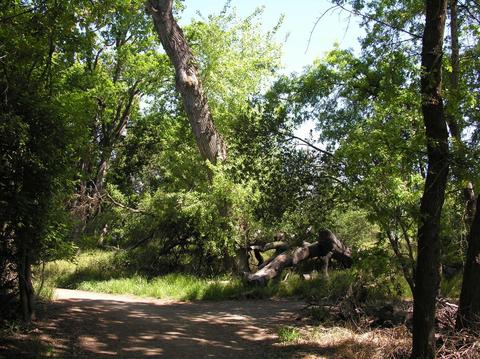 1724 Le Bec Ct, Lodi, CA 95240 photo 36