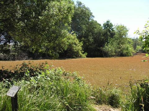 1724 Le Bec Ct, Lodi, CA 95240 photo 40