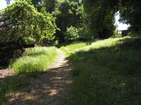 1724 Le Bec Ct, Lodi, CA 95240 photo 38