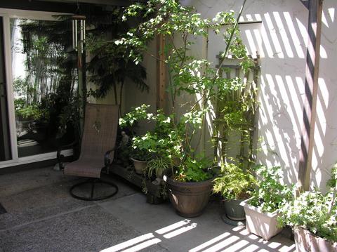 1724 Le Bec Ct, Lodi, CA 95240 photo 32