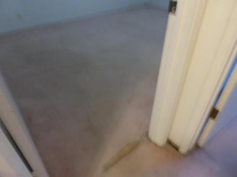1115 Lee Ave, Gustine, CA 95322 photo 33