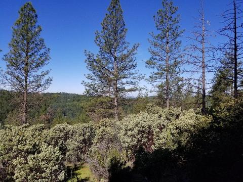 3240 Bentonite Ln, Placerville, CA 95667 photo 7