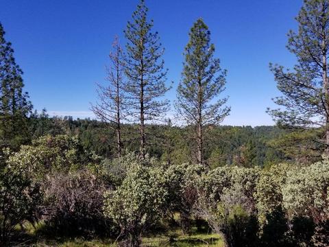 3240 Bentonite Ln, Placerville, CA 95667 photo 5
