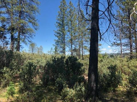 3240 Bentonite Ln, Placerville, CA 95667 photo 3