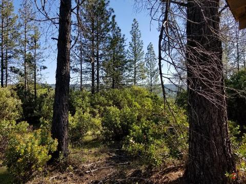 3240 Bentonite Ln, Placerville, CA 95667 photo 6