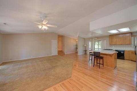 11675 Gold Strike Rd, Pine Grove, CA 95665 photo 4