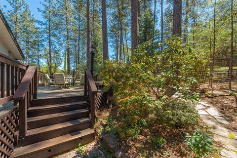 11675 Gold Strike Rd, Pine Grove, CA 95665 photo 44