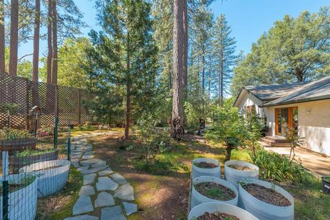 11675 Gold Strike Rd, Pine Grove, CA 95665 photo 49