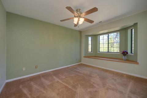11675 Gold Strike Rd, Pine Grove, CA 95665 photo 18