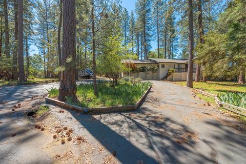 11675 Gold Strike Rd, Pine Grove, CA 95665 photo 26