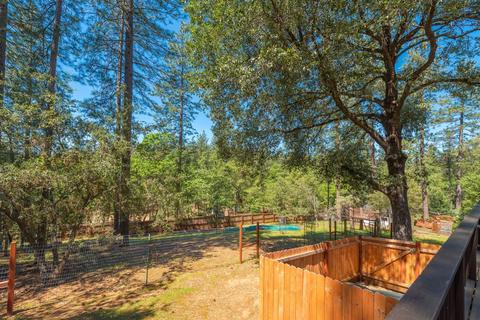 11675 Gold Strike Rd, Pine Grove, CA 95665 photo 41