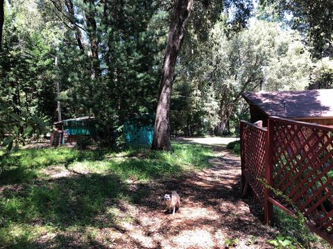 20214 S Cedar Ln, Pine Grove, CA 95665 photo 60