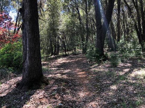 20214 S Cedar Ln, Pine Grove, CA 95665 photo 59