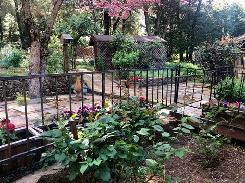20214 S Cedar Ln, Pine Grove, CA 95665 photo 50