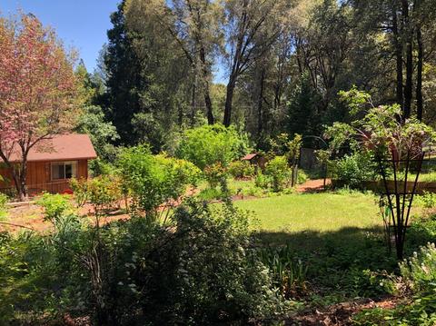 20214 S Cedar Ln, Pine Grove, CA 95665 photo 61